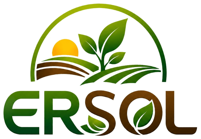 ERSOL